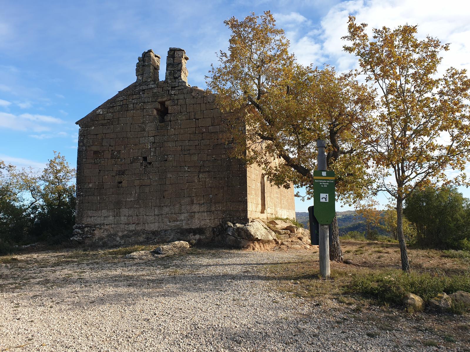 Sendero en un bosque  El contenido generado por IA puede ser incorrecto.